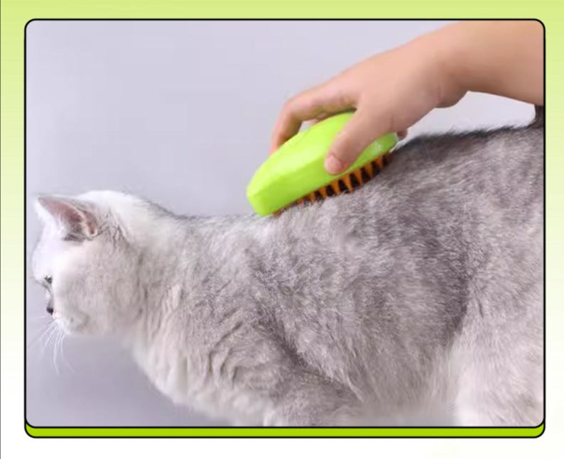 Spray pour animaux de compagnie Peigne de massage